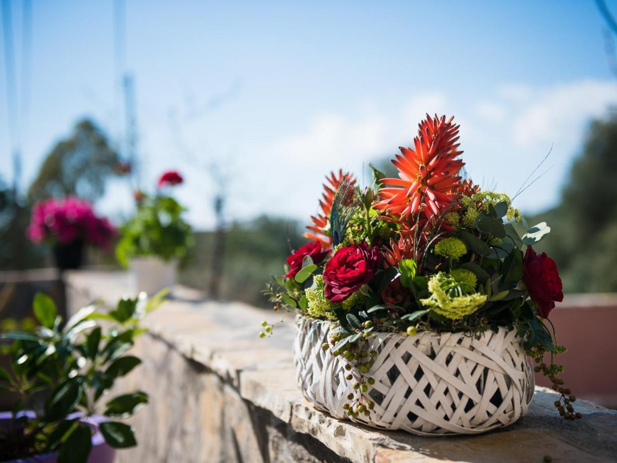 Sofias Cottage Razata Argostoli Kültér fotó